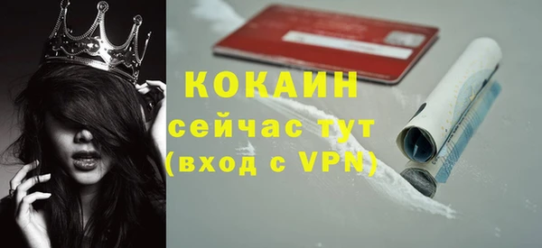 шишки Балахна