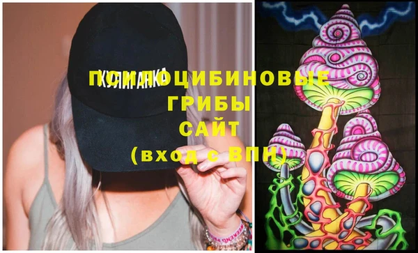 PSILOCYBIN Балабаново