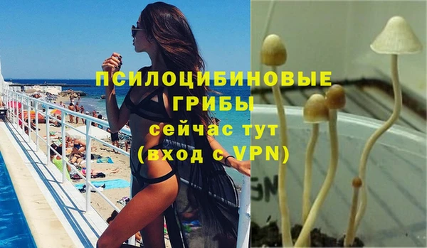 шишки Балахна