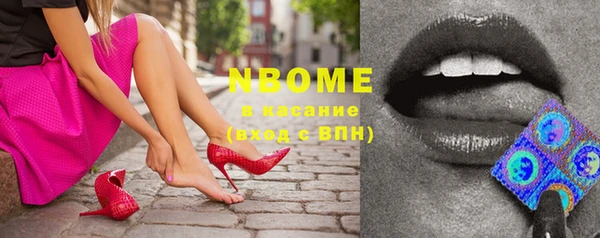 шишки Балахна
