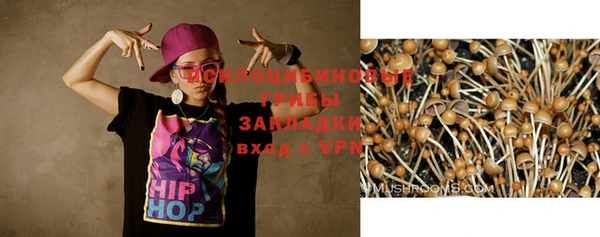 шишки Балахна