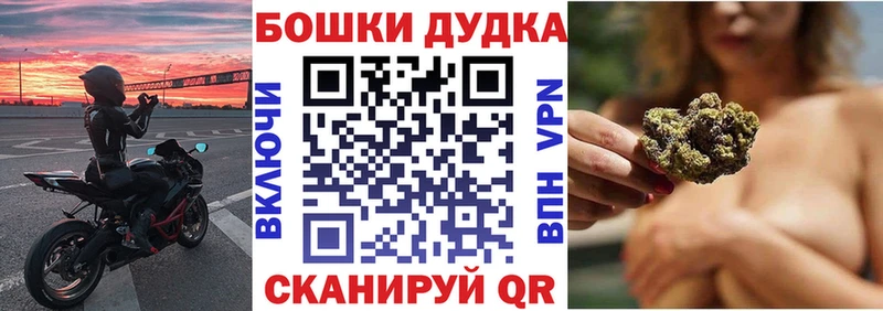 KRAKEN как войти Унеча Бошки марихуана Amnesia